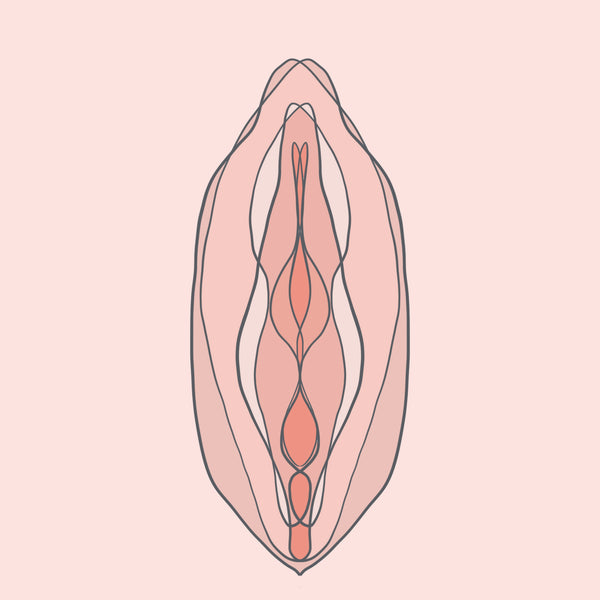 Vulva, emätin, vagina – sitä samaa vai ihan eri juttu?